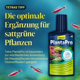 Tetra PlantaMin - 250 ml