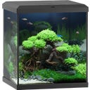Juwel Vio Cube 54 schwarz Aquarium