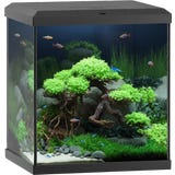 Juwel Vio Cube 54 schwarz Aquarium