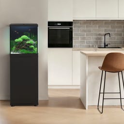 Juwel Vio Cube 54 SBX schwarz Kombination