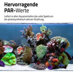 Fluval Nano Reef 4.0 LED, 25W - 1 Stk