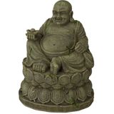 Europet Buda koji sjedi