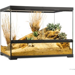 EX Pro Terrarium - 60 x 45 x 45 cm