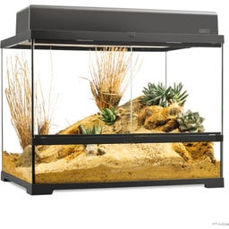 EX Pro Terrarium - 60 x 45 x 45 cm
