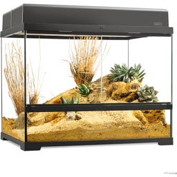 EX Pro Terrarium - 60 x 45 x 45 cm