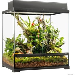EX Pro Terrarium - 60 x 45 x 60 cm