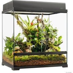EX Pro Terrarium - 60 x 45 x 60 cm