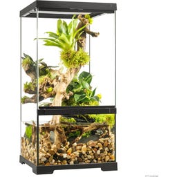 Exo Terra EX Pro Paludarium - 30 x 30 x 60 cm