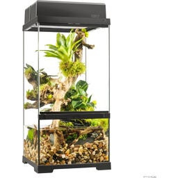 Exo Terra EX Pro Paludarium - 30 x 30 x 60 cm