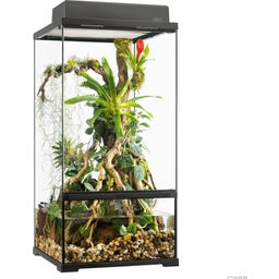Exo Terra EX Pro Paludarium - 45 x 45 x 90 cm