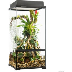 Exo Terra EX Pro Paludarium - 45 x 45 x 90 cm