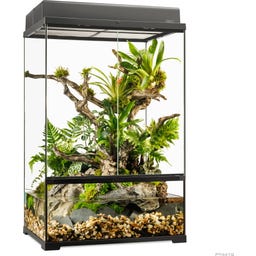 Exo Terra EX Pro Paludarium - 60 x 45 x 90 cm