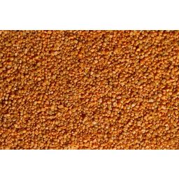 Olibetta Gravel - Orange 0.8-1.2mm