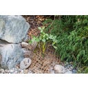 HEISSNER Uferbepflanzungsmatte 50 x 1 m / 50 m² - 1 Stk