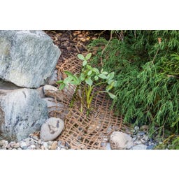 HEISSNER Uferbepflanzungsmatte 50 x 1 m / 50 m² - 1 Stk