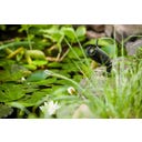 HEISSNER WiFi-Kamera Smart Garden Cam - 1 Stk