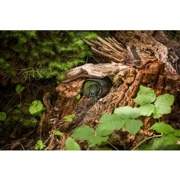 HEISSNER WiFi-Kamera Smart Garden Cam - 1 Stk