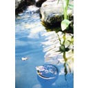 HEISSNER Standskimmer Profiline 35 x 35 x 83 cm - 1 Stk