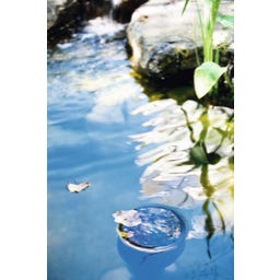 HEISSNER Standskimmer Profiline 35 x 35 x 83 cm - 1 Stk