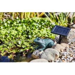 HEISSNER Solar Teichfigur-Frosch mit Teichpumpe - 250 l/h