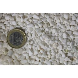 Olibetta Grava White Pearl 3-4mm