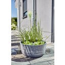 HEISSNER Solar Wassergarten Aquatopia - 46 x 46 x 21 cm
