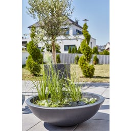 HEISSNER Solar Wassergarten Hydro Habitat - 77 x 77 x 23 cm