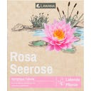 LAWANA Ninfea Natura - Coco 