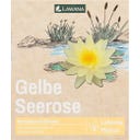 Lawana Nymphaea Natura Coco 