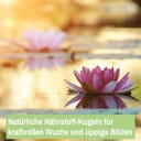 LAWANA Schöne Pflanzen - 25 Kugeln - 500 g