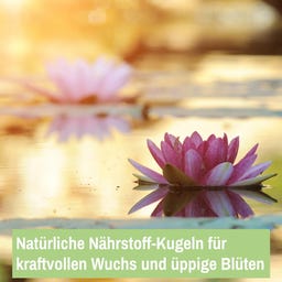 LAWANA Schöne Pflanzen - 25 Kugeln - 500 g