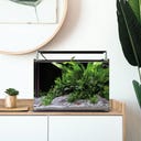 Dennerle Nano Tank Complete - 25 L