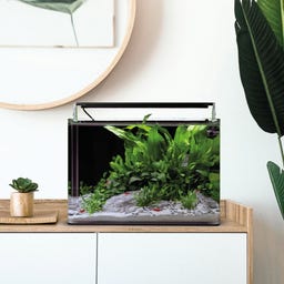 Dennerle Nano Tank Complete - 25 L