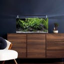Dennerle Nano Tank Basic - 60 L