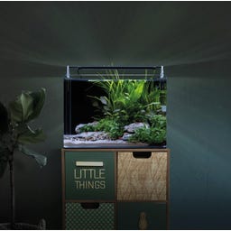 Dennerle Nano Tank Basic - 35 L