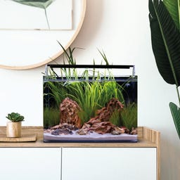 Dennerle Nano Tank Basic - 25 L