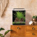 Dennerle Nano Cube Complete - 30 L