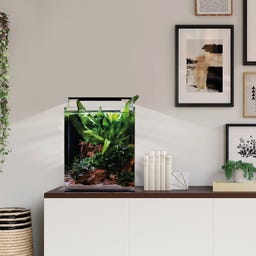 Dennerle Nano Cube Basic - 20 L