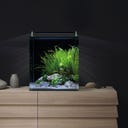 Dennerle Nano Cube Basic - 60 L