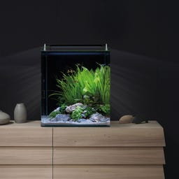 Dennerle Nano Cube Basic - 60 L