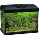 Amtra BASIC LED Aquarium schwarz - 40