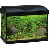 Amtra BASIC LED Aquarium schwarz