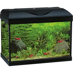 Amtra BASIC LED Aquarium schwarz - 40