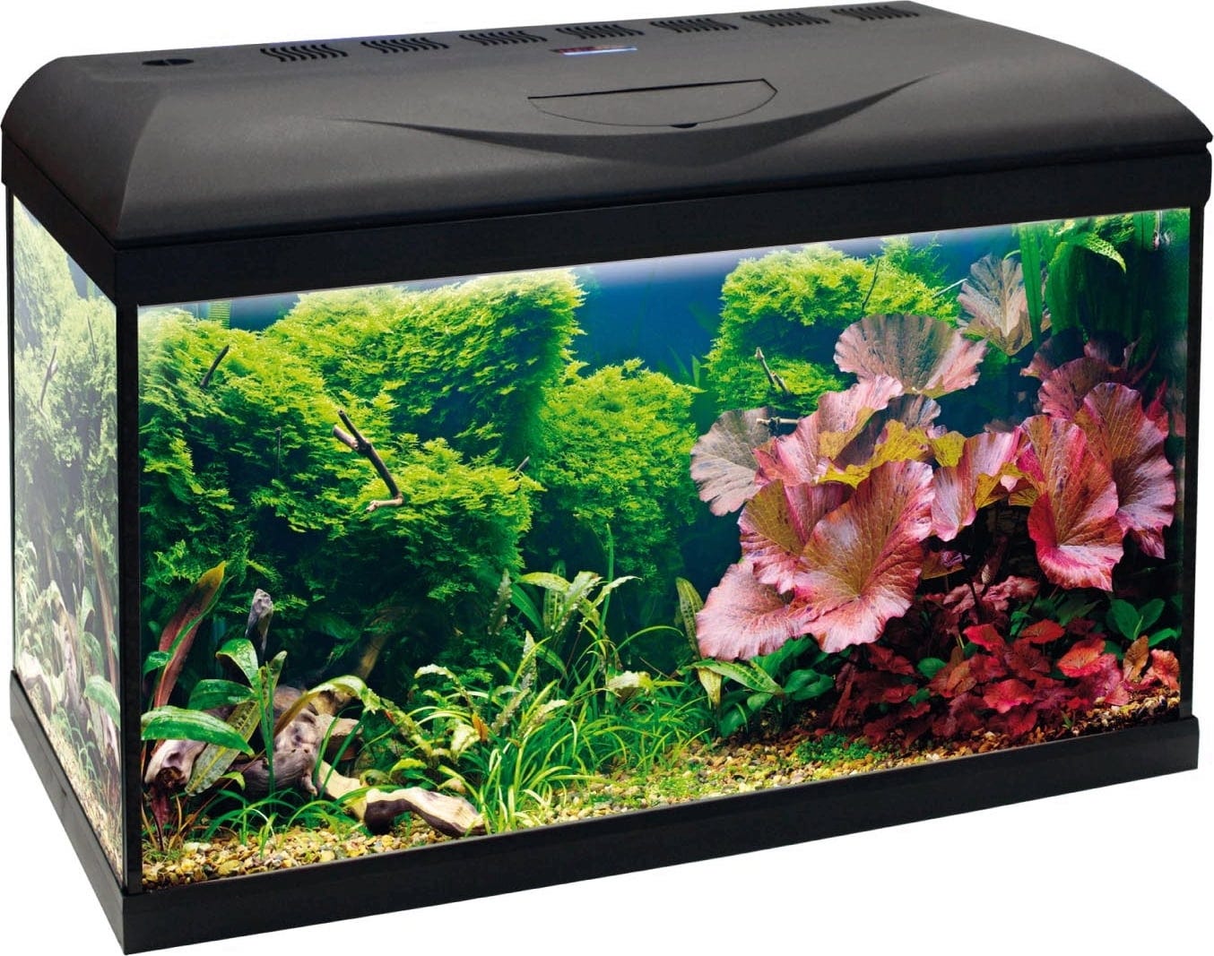 Amtra BASIC LED Aquarium schwarz - 60