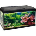 Amtra BASIC LED Aquarium Black - 80