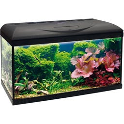 Amtra BASIC LED Aquarium Black - 80