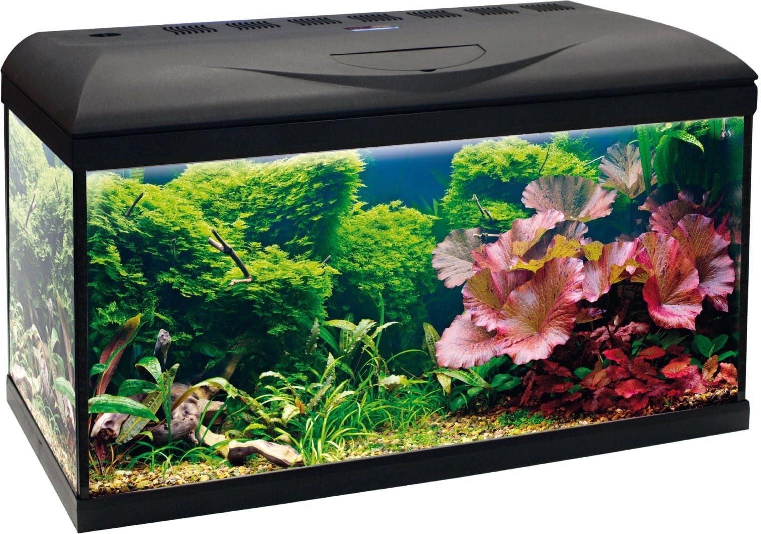 Amtra BASIC LED Aquarium schwarz - 80