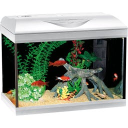 Amtra BASIC LED Aquarium weiß - 40