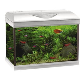 Amtra BASIC LED Aquarium wei&szlig;
