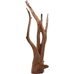 Amtra Thai Orchid Slim Holz L - 1 Stk